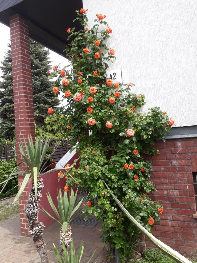 Apartment Besondere Quartier In - Pankow